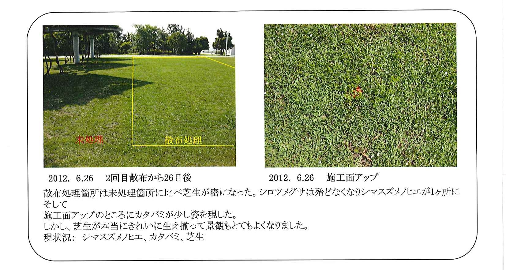 芝生地（１－３画像