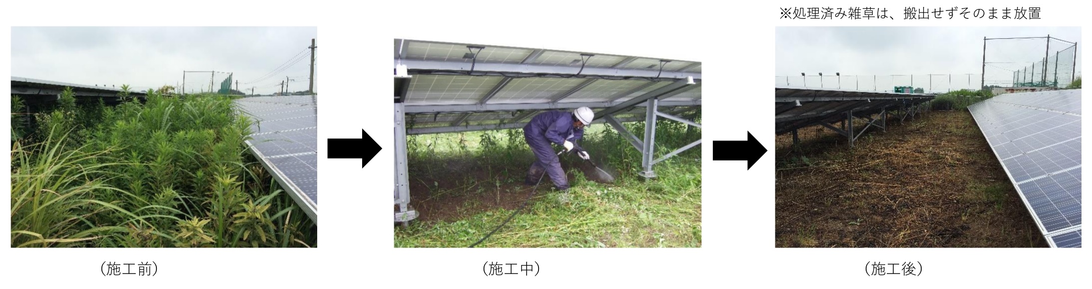 太陽光発電所サイト内画像